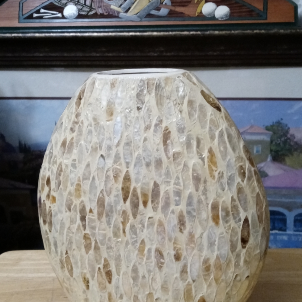 π€πFire Fly Mother of pearl vaseππππSize 12"Γ11",A Nice Gift Item.ππππ - Picture 5 of 7
